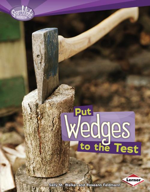 Cover of the book Put Wedges to the Test by Roseann Feldmann, Sally M. Walker, Lerner Publishing Group