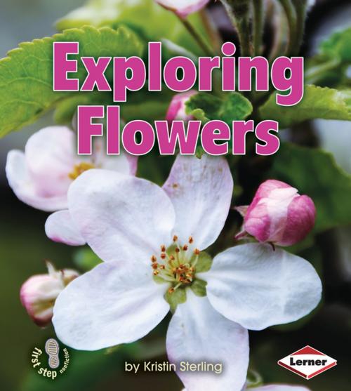 Cover of the book Exploring Flowers by Kristin Sterling, Lerner Publishing Group