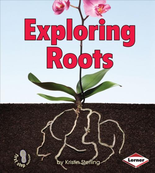 Cover of the book Exploring Roots by Kristin Sterling, Lerner Publishing Group