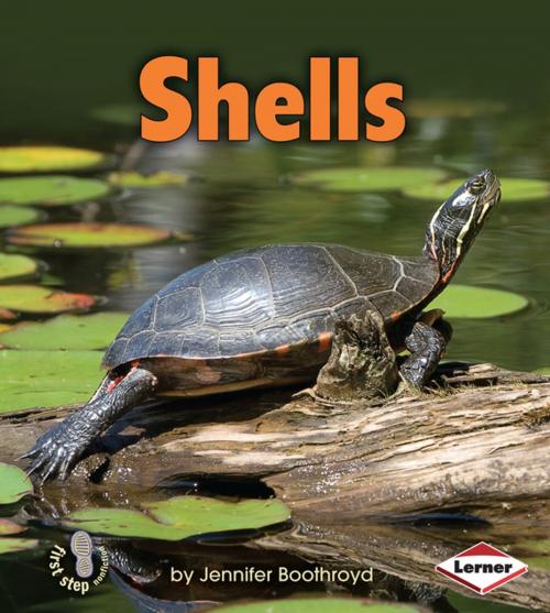 Cover of the book Shells by Jennifer Boothroyd, Lerner Publishing Group