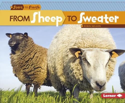 Cover of the book From Sheep to Sweater by Robin Nelson, Lerner Publishing Group