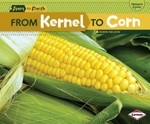 Cover of the book From Kernel to Corn by Robin Nelson, Lerner Publishing Group