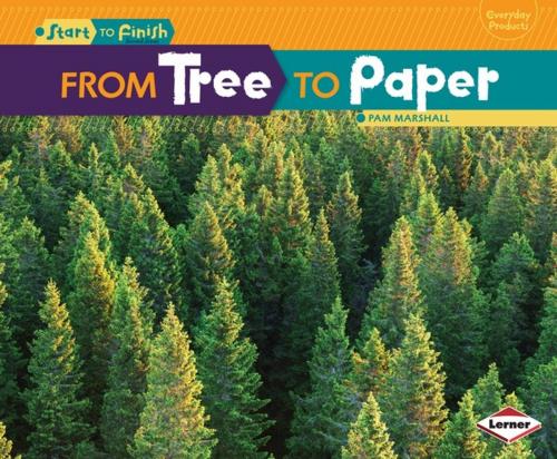 Cover of the book From Tree to Paper by Pam Marshall, Lerner Publishing Group