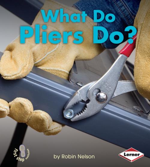 Cover of the book What Do Pliers Do? by Robin Nelson, Lerner Publishing Group