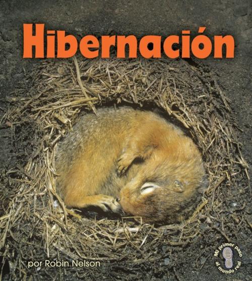 Cover of the book Hibernación (Hibernation) by Robin Nelson, Lerner Publishing Group