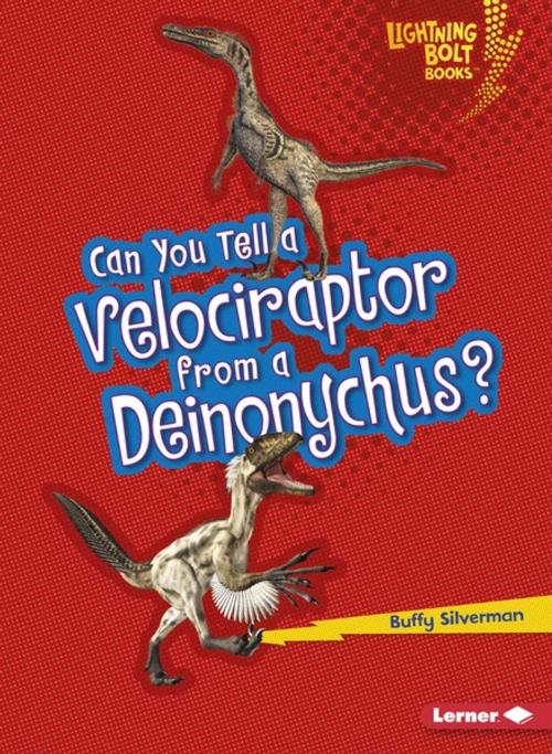 Cover of the book Can You Tell a Velociraptor from a Deinonychus? by Buffy Silverman, Lerner Publishing Group