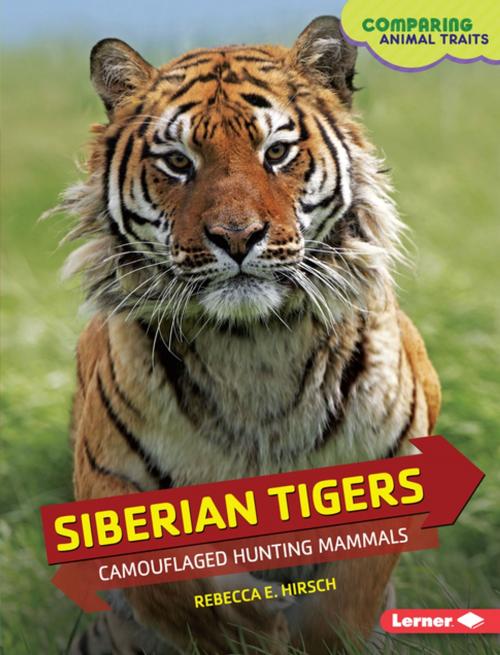 Cover of the book Siberian Tigers by Rebecca E. Hirsch, Lerner Publishing Group