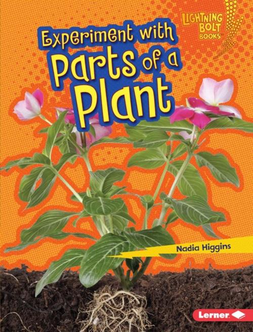 Cover of the book Experiment with Parts of a Plant by Nadia Higgins, Lerner Publishing Group