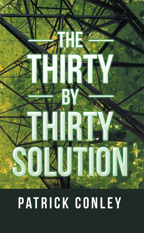Cover of the book The Thirty by Thirty Solution by Patrick Conley, AuthorHouse