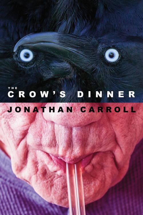 Cover of the book The Crow's Dinner by Jonathan Carroll, Subterranean Press
