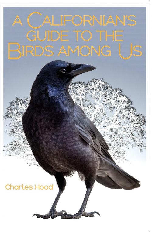 Cover of the book A Californian’s Guide to the Birds among Us by Charles Hood, Heyday