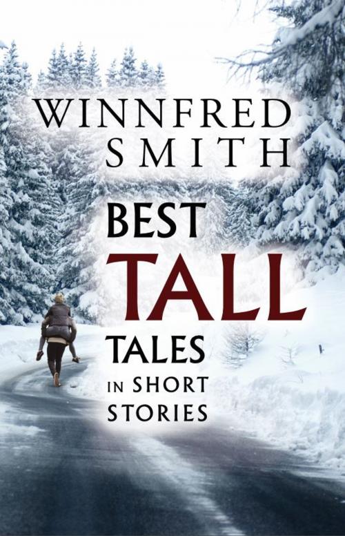 Cover of the book Best Tall Tales in Short Stories by Winnfred Smith, Lanier Press