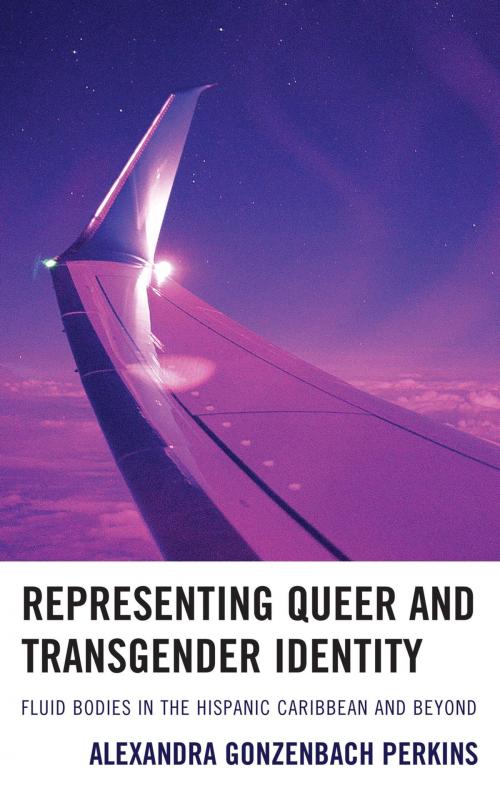 Cover of the book Representing Queer and Transgender Identity by Alexandra Gonzenbach Perkins, Bucknell University Press