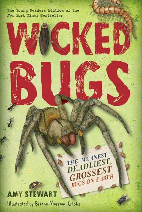 Cover of the book Wicked Bugs (Young Readers Edition) by Amy Stewart, Algonquin Books