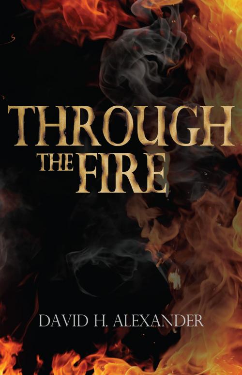 Cover of the book Through the Fire by David Alexander, Ambassador International
