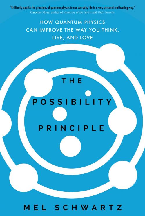 Cover of the book The Possibility Principle by Mel Schwartz, Sounds True