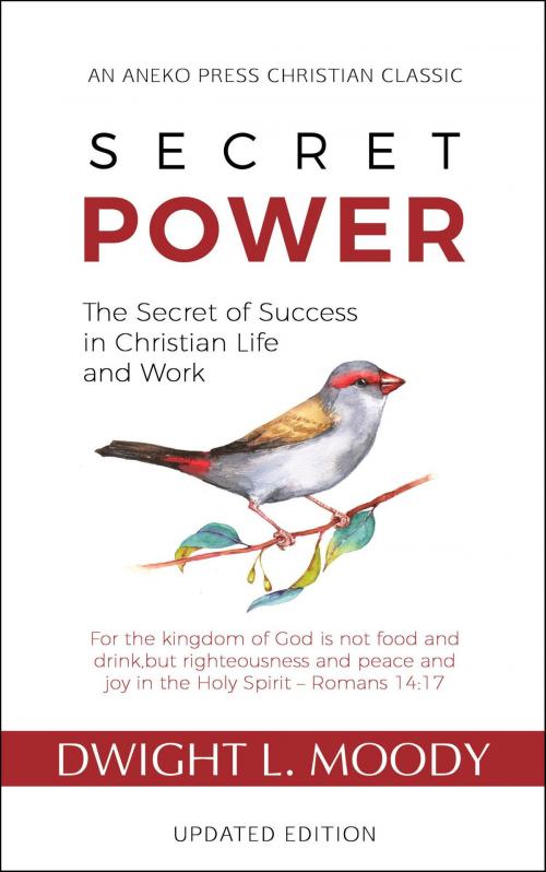 Cover of the book Secret Power: The Secret of Success in Christian Life and Work by Dwight L. Moody, Aneko Press