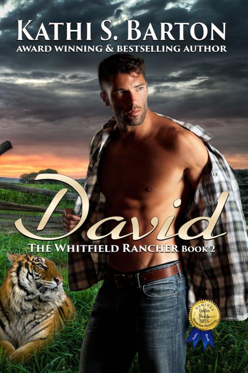 Cover of the book David by Kathi S. Barton, World Castle Publishing, LLC