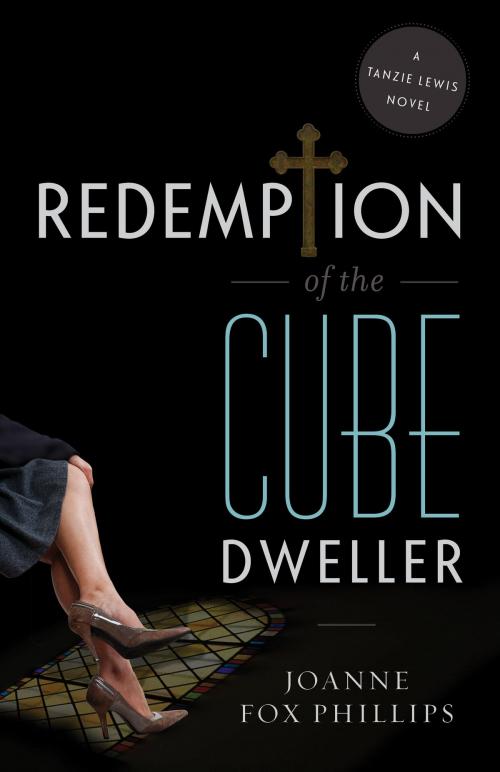 Cover of the book Redemption of the Cube Dweller by Joanne Fox Phillips, River Grove Books
