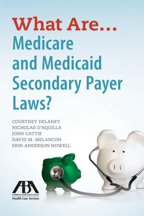 Cover of the book What Are...Medicare and Medicaid Secondary Payer Laws? by Courtney Delaney, John Cattie, David M. Melancon, Erin Anderson Nowell, Nicholas D'Aquilla, American Bar Association