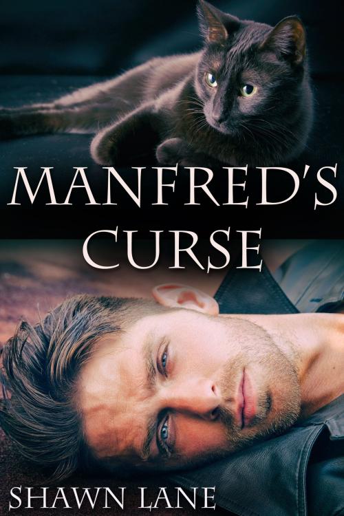 Cover of the book Manfred's Curse by Shawn Lane, JMS Books LLC