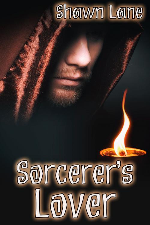 Cover of the book Sorcerer's Lover by Shawn Lane, JMS Books LLC