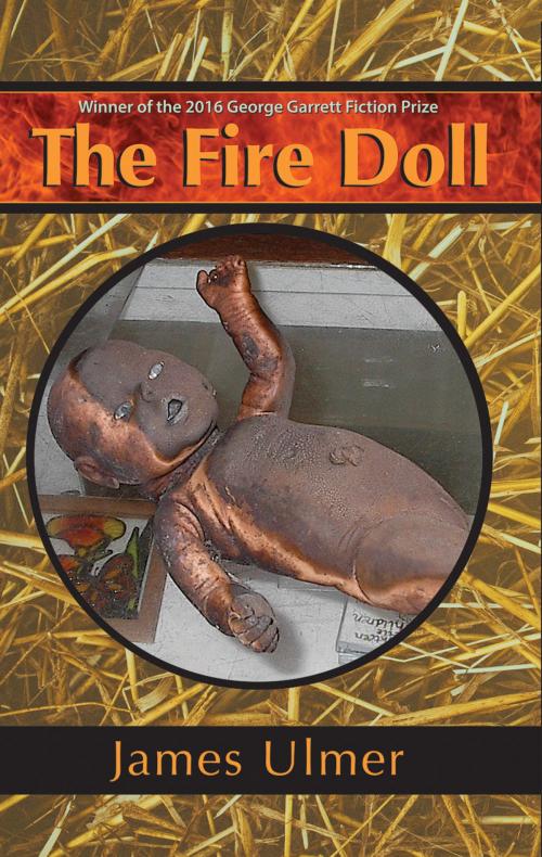 Cover of the book The Fire Doll by James Ulmer, Texas Review Press