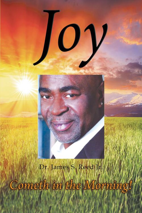 Cover of the book Joy Cometh in the Morning by Dr. James Sylvester Reed Jr., Page Publishing, Inc.