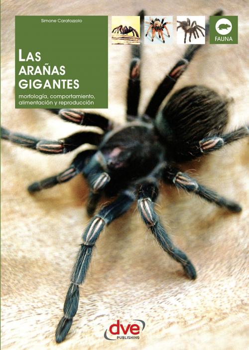 Cover of the book LAS ARAÑAS GIGANTES by Simone Caratozzolo, De Vecchi Ediciones
