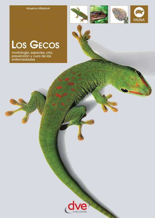 Cover of the book Los gecos by Massimo Millefanti, De Vecchi Ediciones
