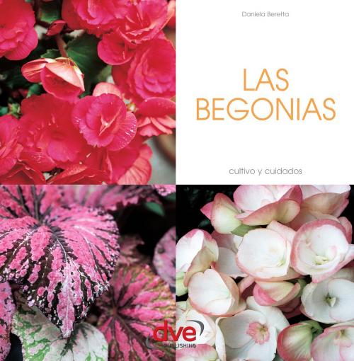 Cover of the book LAS BEGONIAS by Daniela Beretta, De Vecchi Ediciones