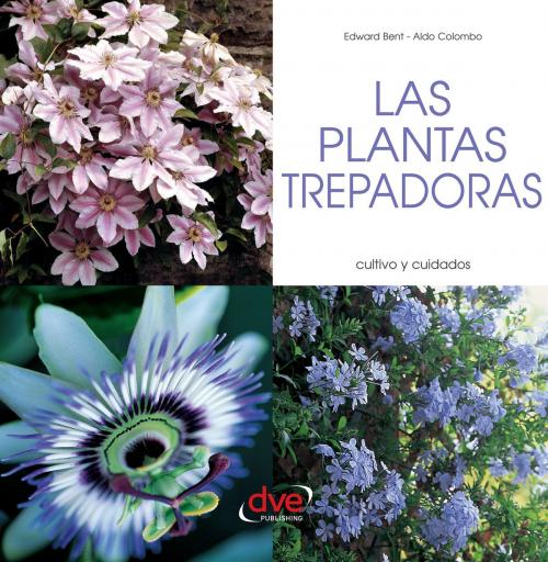Cover of the book LAS PLANTAS TREPADORAS by Edward Bent, Aldo Colombo, De Vecchi Ediciones