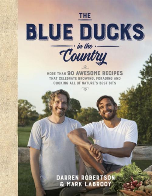 Cover of the book The Blue Ducks in the Country by Darren Robertson, Mark LaBrooy, Darren Robertson and Mark LaBrooy, Pan Macmillan Australia