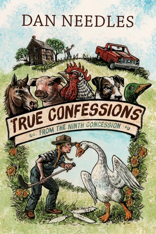 Cover of the book True Confessions from the Ninth Concession by Dan Needles, Douglas and McIntyre (2013) Ltd.