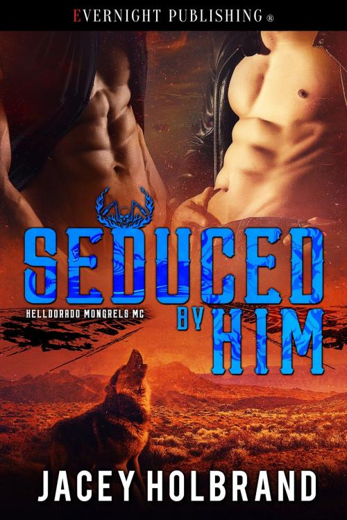 Cover of the book Seduced by Him by Jacey Holbrand, Evernight Publishing
