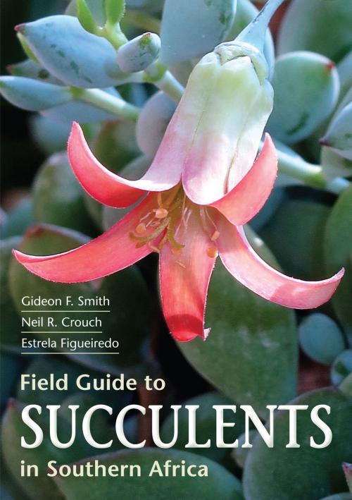 Cover of the book Field Guide to Succulents of Southern Africa by Gideon Smith, Penguin Random House South Africa