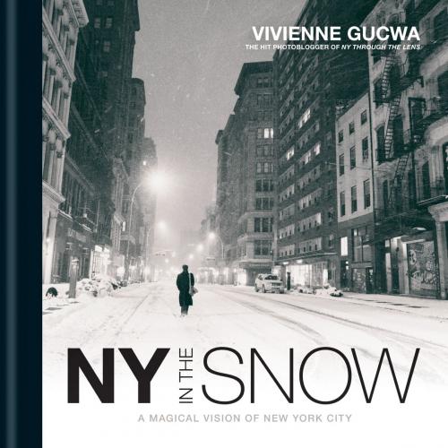 Cover of the book New York In The Snow by Vivienne Gucwa, Octopus Books