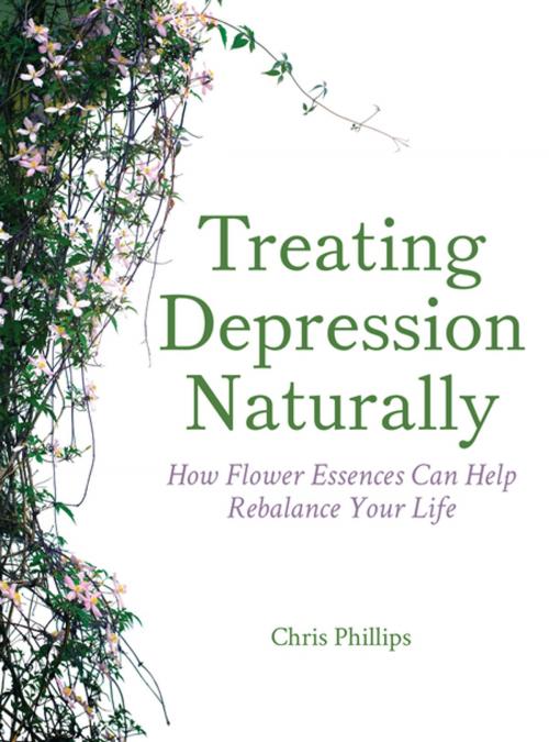 Cover of the book Treating Depression Naturally by Chris Phillips, Floris Books