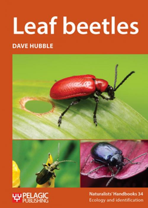Cover of the book Leaf beetles by Dave Hubble, Pelagic Publishing