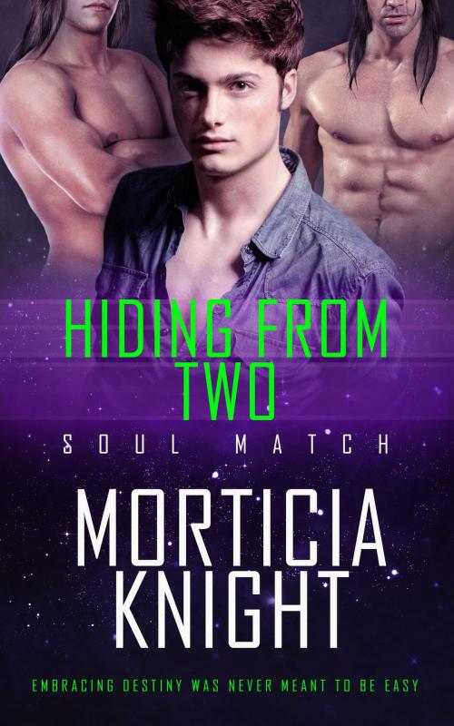 Cover of the book Hiding From Two by Morticia Knight, Totally Entwined Group Ltd