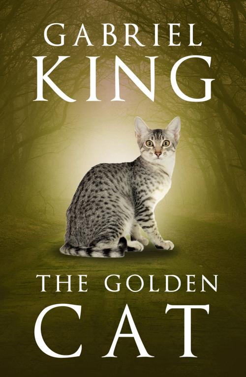 Cover of the book The Golden Cat by Gabriel King, Head of Zeus