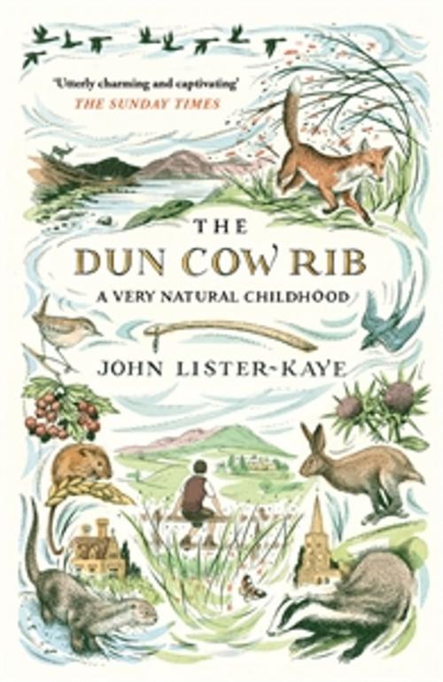 Cover of the book The Dun Cow Rib by Sir John Lister-Kaye, Canongate Books