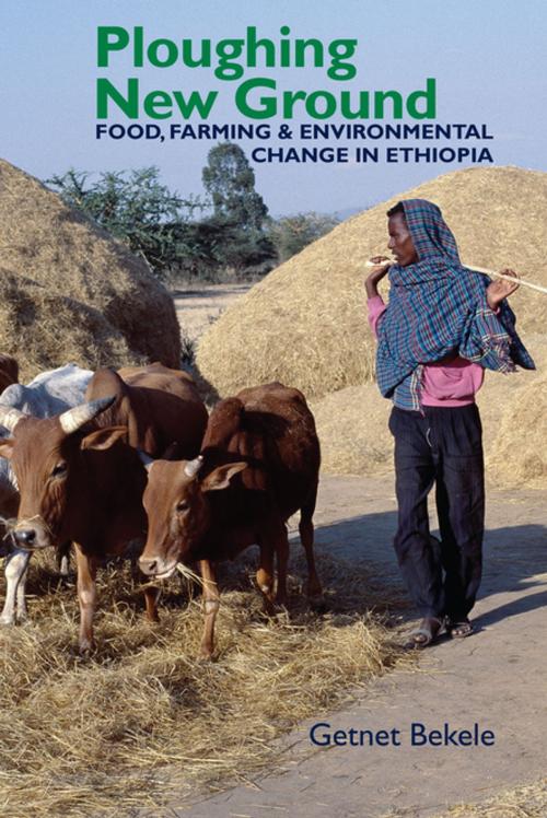Cover of the book Ploughing New Ground by Getnet Bekele, Boydell & Brewer
