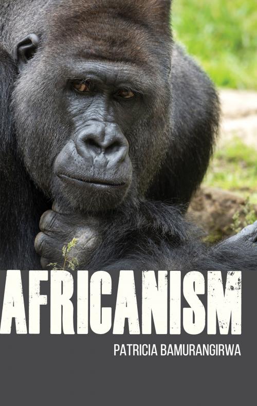 Cover of the book Africanism by Patricia Bamurangirwa, Troubador Publishing Ltd