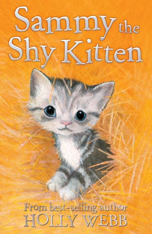 Cover of the book Sammy the Shy Kitten by Holly Webb, Stripes Publishing