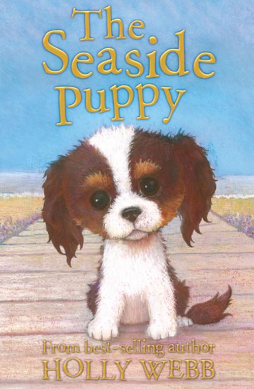 Cover of the book The Seaside Puppy by Holly Webb, Stripes Publishing