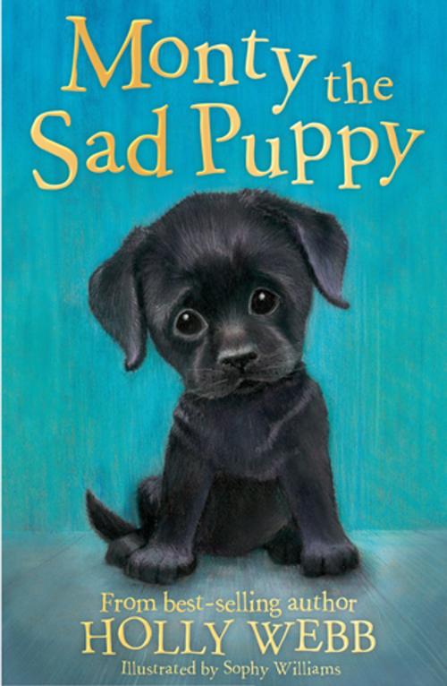 Cover of the book Monty the Sad Puppy by Holly Webb, Stripes Publishing