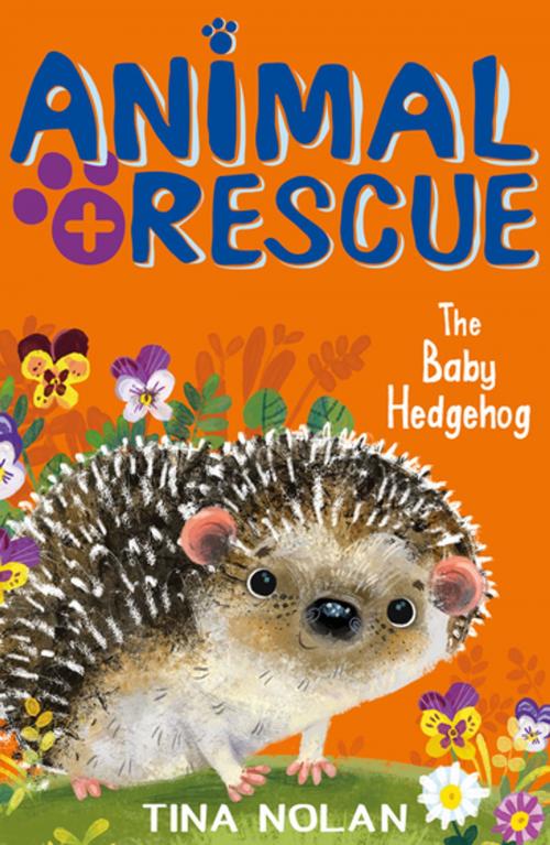 Cover of the book The Baby Hedgehog by Tina Nolan, Stripes Publishing