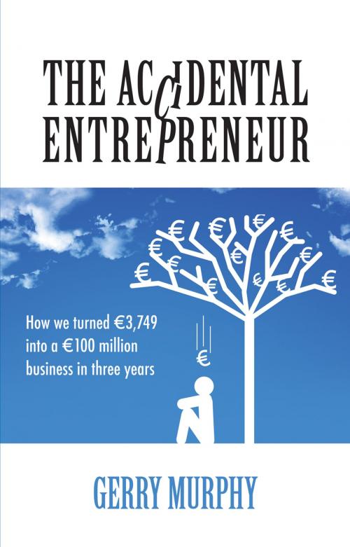 Cover of the book The Accidental Entrepreneur by Gerry Murphy, Orpen Press