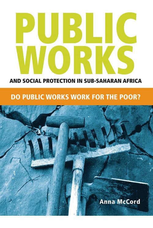 Cover of the book Public Works and Social Protection in sub-Saharan Africa by Anna McCord, University of Cape Town Press